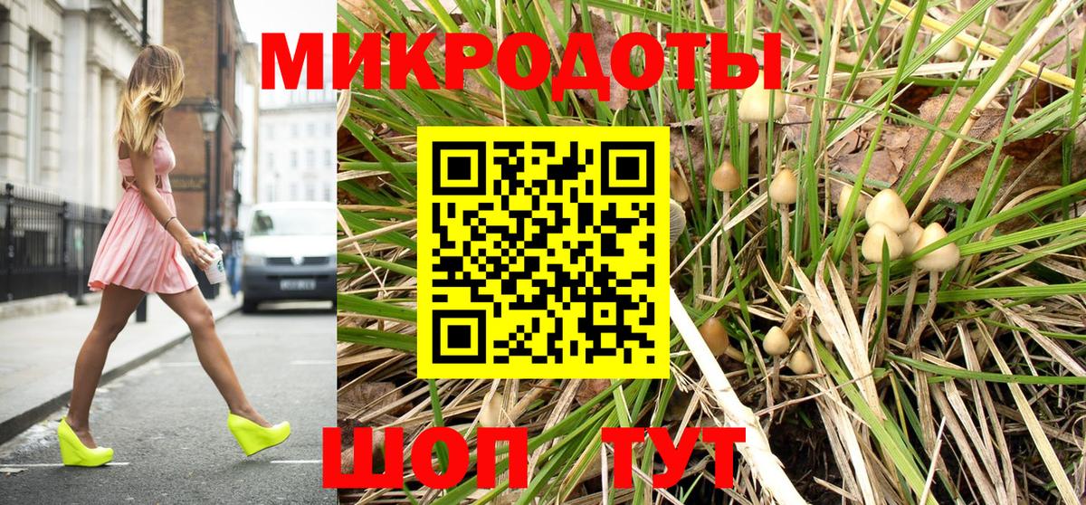 Кингисепп  наркотики  Вход с VPN  Галлюциногенные грибы Cubensis 